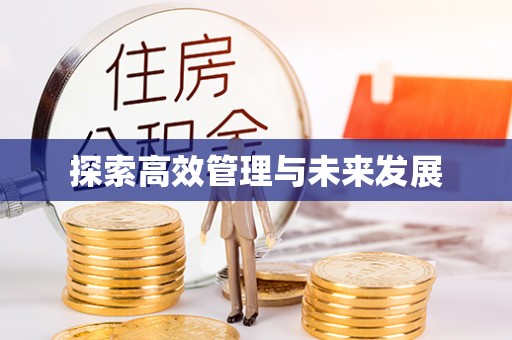 霞山探索高效管理与未来发展