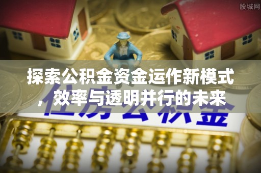 霞山探索公积金资金运作新模式，效率与透明并行的未来