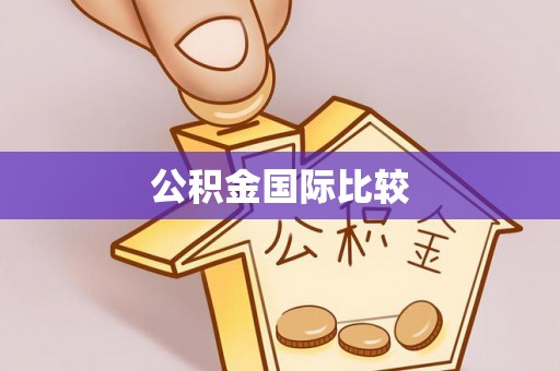 霞山公积金国际比较