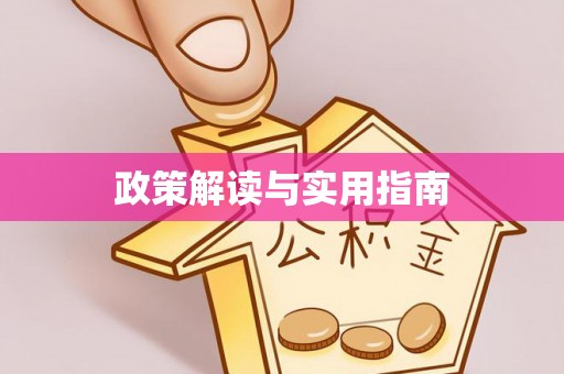 霞山政策解读与实用指南