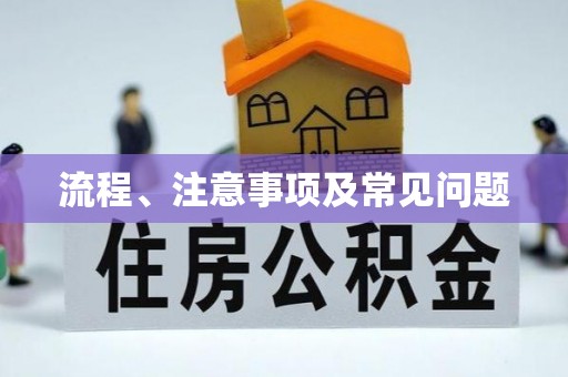 霞山流程、注意事项及常见问题