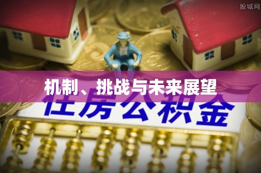 霞山机制、挑战与未来展望