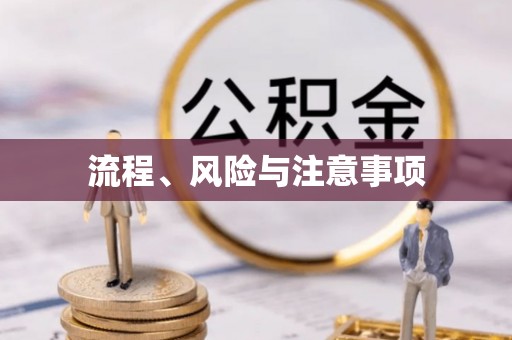 霞山流程、风险与注意事项