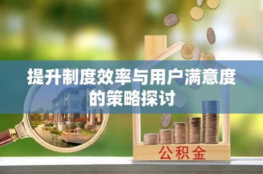 霞山提升制度效率与用户满意度的策略探讨