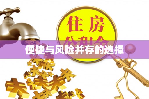 霞山便捷与风险并存的选择